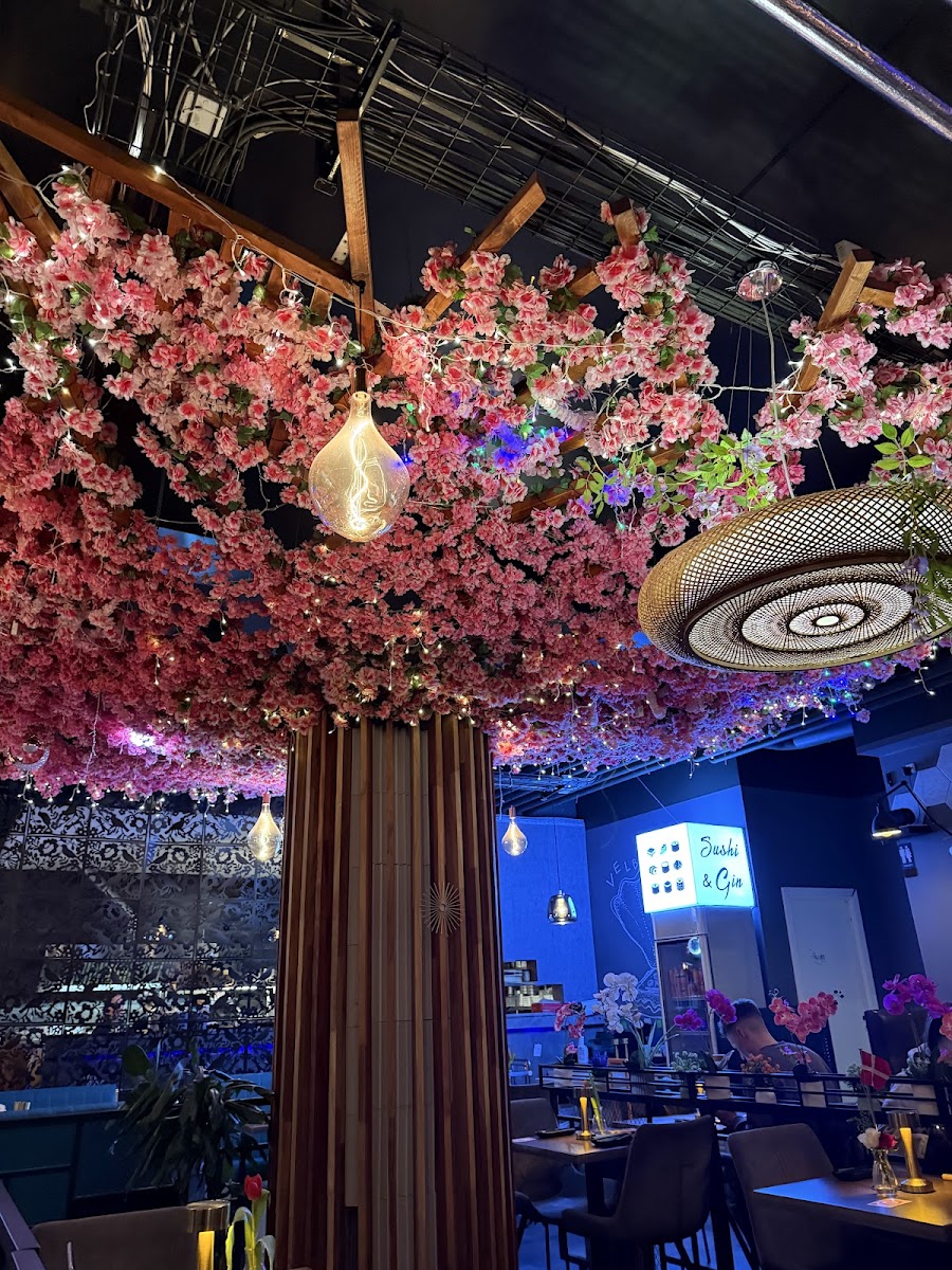 Bluefin Sushi & Gin Photos 2